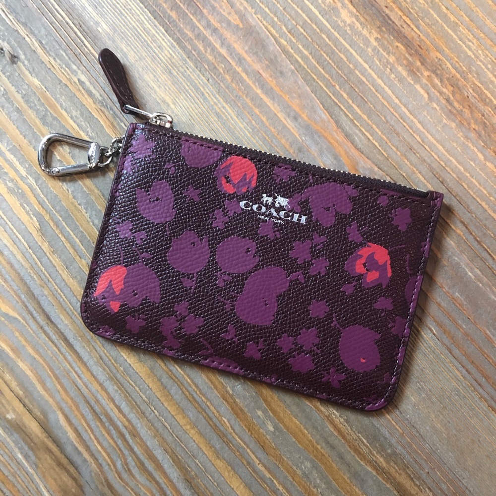 Coach Floral Print Zip Mini